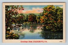Colegrove PA, Scenic Greetings, River, Pennsylvania, Vintage Postcard picture