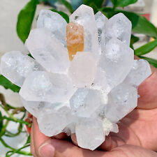1.56LB NewFind white+yellow PhantomQuartz Crystal Cluster MineralSpecimenHealing picture