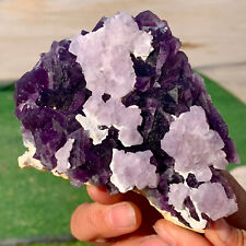 467G Rare transparent purple cubic fluorite mineral crystal sample/China picture