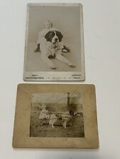 Antique Cabinet Card Photograph Child Outdoors With Big St Bernard Dog Pair picture