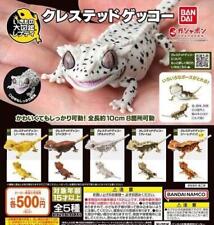 Ikimono Encyclopedia Repti Crested Gecko capsule toy figure Set of 5 Bandai  picture