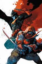 RED HOOD OUTLAW #29 B DC Yasmine Putri Variant (12/05/2018) picture