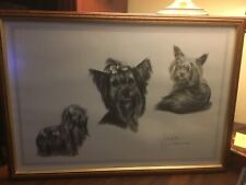 Yorkshire Terrier-Signed-Black & White Print-Framed/Non-Glare Glass-20”x14”-NICE picture