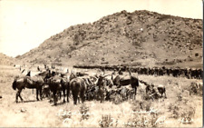 RPPC Soldiers in camp on Mexico boarder many horses antique postcard a47 picture