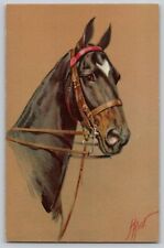 Horse Head Portrait Artist Signed Jean Rivst Vtg Stehli Postcard c 1910s No 149 picture