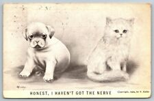 1911  Puppy and Kitten   Artist Signed V. Colby   Postcard picture