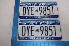 NEW YORK LICENSE PLATE PAIR 2001-2010 SKYLINE NIAGRA FALLS EMPIRE STATE DYE-9851 picture