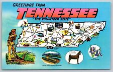Vintage Postcard 1969 Greetings From Tennessee The Volunteer State Nashville TN picture