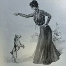 1900 Training Pet Dogs illustrated picture