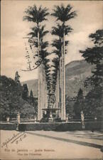 Brazil Rio de Janeiro Alea das Palmeiras,Jardim Botanico Postcard Vintage picture