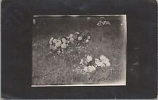 RPPC Postcard Grandmother's Grave Decoration Day 1912 picture