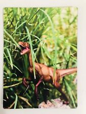 Velociraptor Don’t Go Into The Long Grass Refrigerator Magnet 5 1/2 x 4 Inches picture