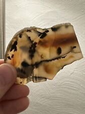 Nice Old Stock Montana Moss Agate Slab Grandpa’s collection 1960’s picture