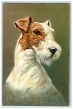 Rivst Artist Signed Postcard Fox Terrier Dog Animal Switzerland Vintage Unposted picture