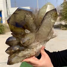 21.87LB New Discovery Citrine cluster mineral specimen quartz crystal healing picture