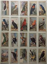 1924 Ogden's Cigarettes Foreign Birds Series Of 50 Cards Complete picture