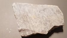 Very rare piece of Roman/Greek ingraved mable slab Please read description L125x picture