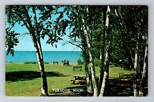 Paradise MI-Michigan, Scenic Park View, Antique, Vintage Souvenir Postcard picture
