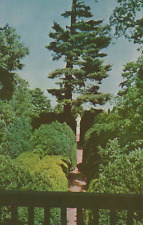 Garden Ash Lawn Home Of James Monroe Charlottesville VA Chrome Vintage Postcard picture