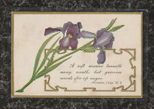 1911 Postcard Artist Signed 'Bishop' Irises Bible Verse 'A soft answer ...' picture