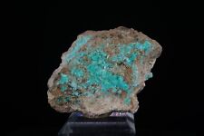 Aurichalcite / Classic Mineral Specimen / Apex Mine, Utah picture