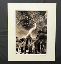 John McDermott Signed Photograph Print Angkor Wat Cambodia Tree  19 ¾” x 17 ¾” picture