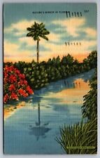 Postcard  Natures Mirror Hollywood Florida    G 9 picture