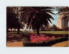 Postcard Memorial Park Jacksonville Florida USA picture