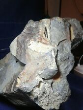 PALEO-AMERICAN STONE EFFIGY, STORY ROCK,,SCULPTURE,/ROCK ART,  ANOMOLY picture