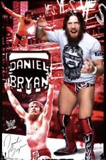 2014 WWE Daniel Bryan 24x36 Wrestling Poster New PB40 picture