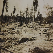 Battlefield Guadalcanal WW2 1942 Photo Vintage Snapshot Campaign Watchtower D366 picture