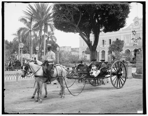 Cuban volanta, 1904. 2-wheeled carriage belonging to the Hotel Lou- Old Photo Cuban volanta, 1904. 2-wheeled carriage belonging to the Hotel Lou- Old Photo