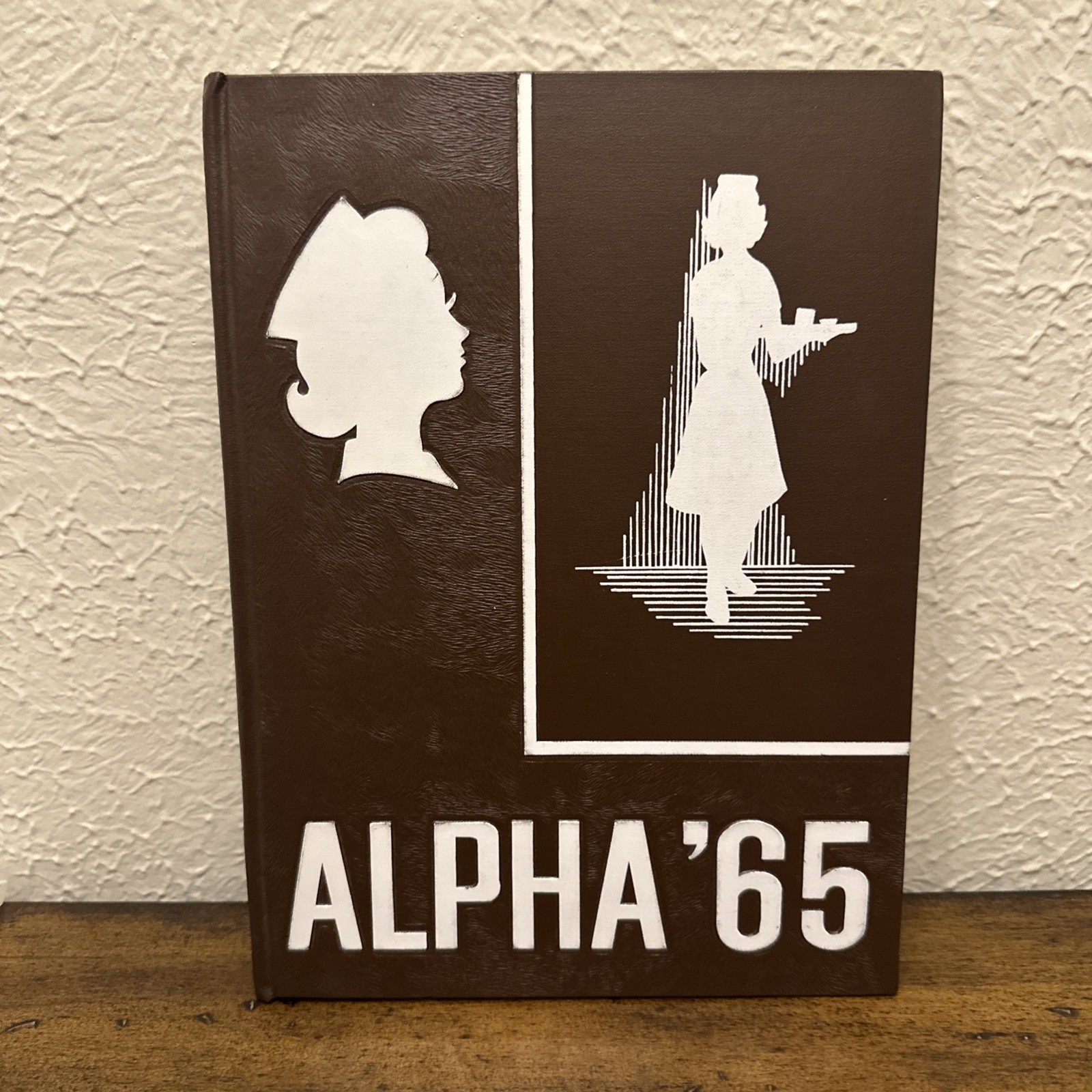 1965 Alpha Presbyterian St. Lukes Hospital School of Nursing Yearbook Chicago IL