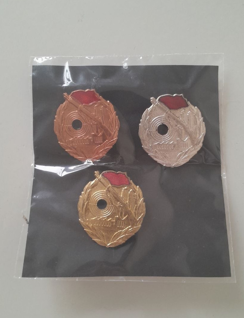 Original set of GDR skill badges