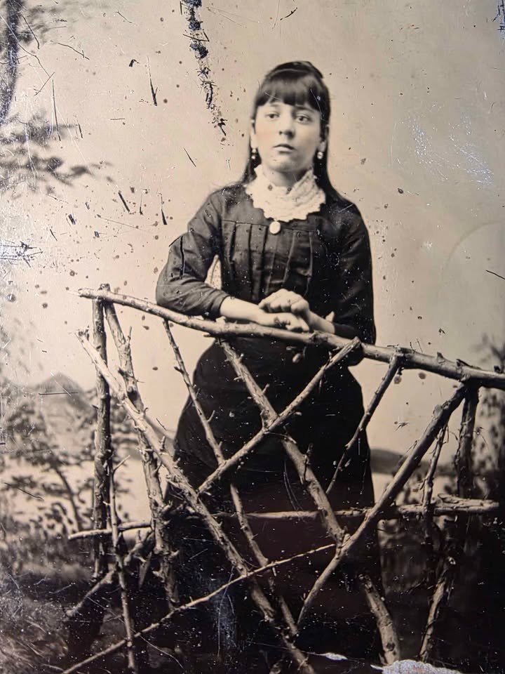 Antique 1880s Tintype Young Woman Rustic Branch Fence Scenic Studio Backdrop Antique 1880s Tintype Young Woman Rustic Branch Fence Scenic Studio Backdrop