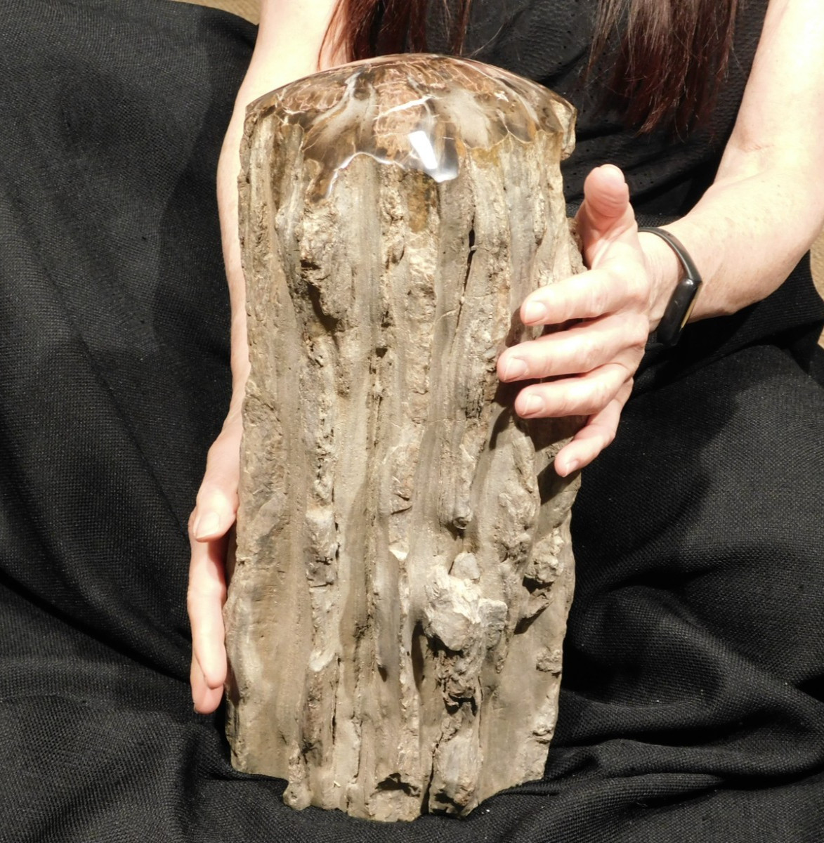 wOw HUGE Dome Polished Petrified WOOD ROLLER Fossil Free Standing Arizona wOw HUGE Dome Polished Petrified WOOD ROLLER Fossil Free Standing Arizona