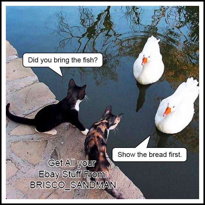 Fridge Fun Refrigerator Magnet "DUCK DEAL" Cats dealing w/ ducks Funny Animals Fridge Fun Refrigerator Magnet "DUCK DEAL" Cats dealing w/ ducks Funny Animals