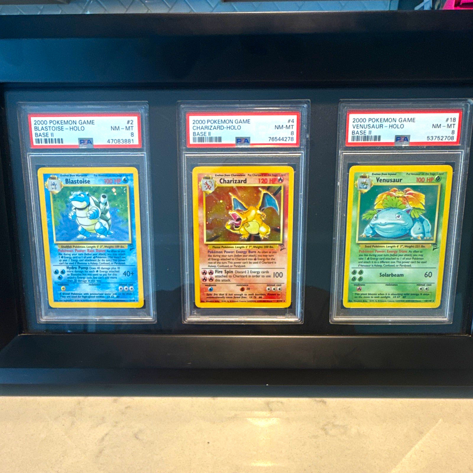 Pokémon 2000 Base II Holo Graded PSA 8 3-Card Lot Charizard #4, Blastoise #2 Pokémon 2000 Base II Holo Graded PSA 8 3-Card Lot Charizard #4, Blastoise #2