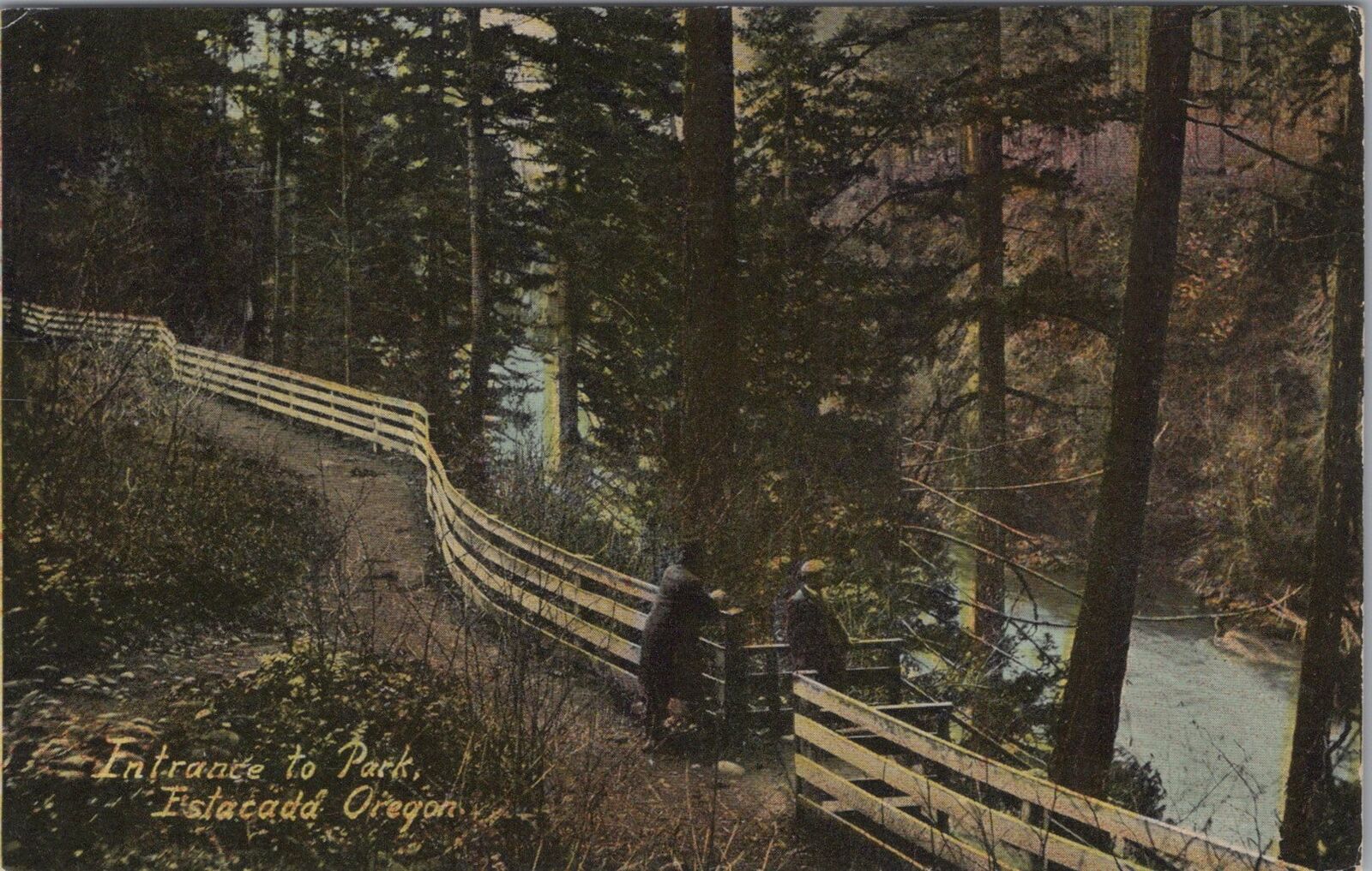 Entrance to Park Estacada Oregon Vintage Unposted Postcard