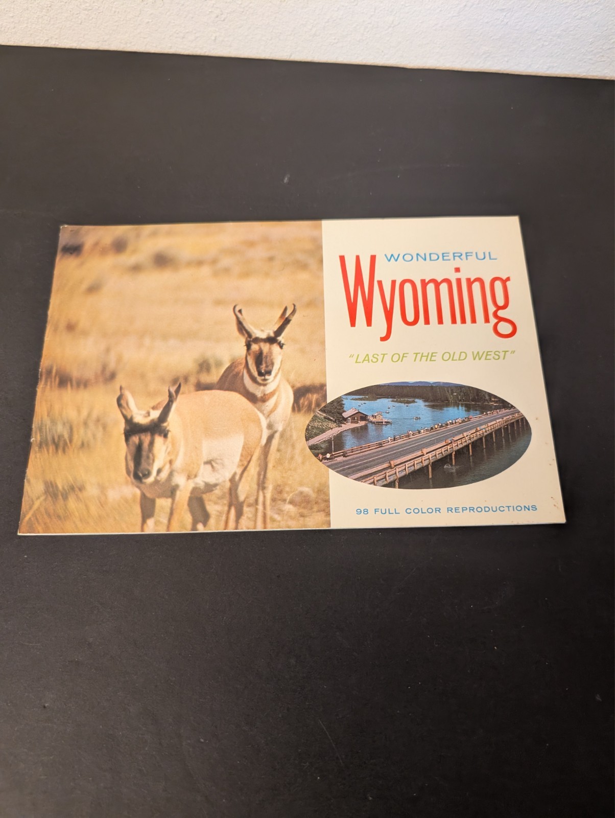 Vtg Wonderful Wyoming "Last of the old west" Story of Wyoming Brochure NICE Vtg Wonderful Wyoming "Last of the old west" Story of Wyoming Brochure NICE