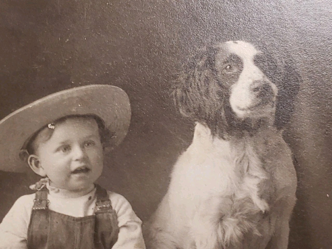 Antique 1910s Studio Photo Young Boy Straw Hat Overalls & Spaniel Dog Wicker 