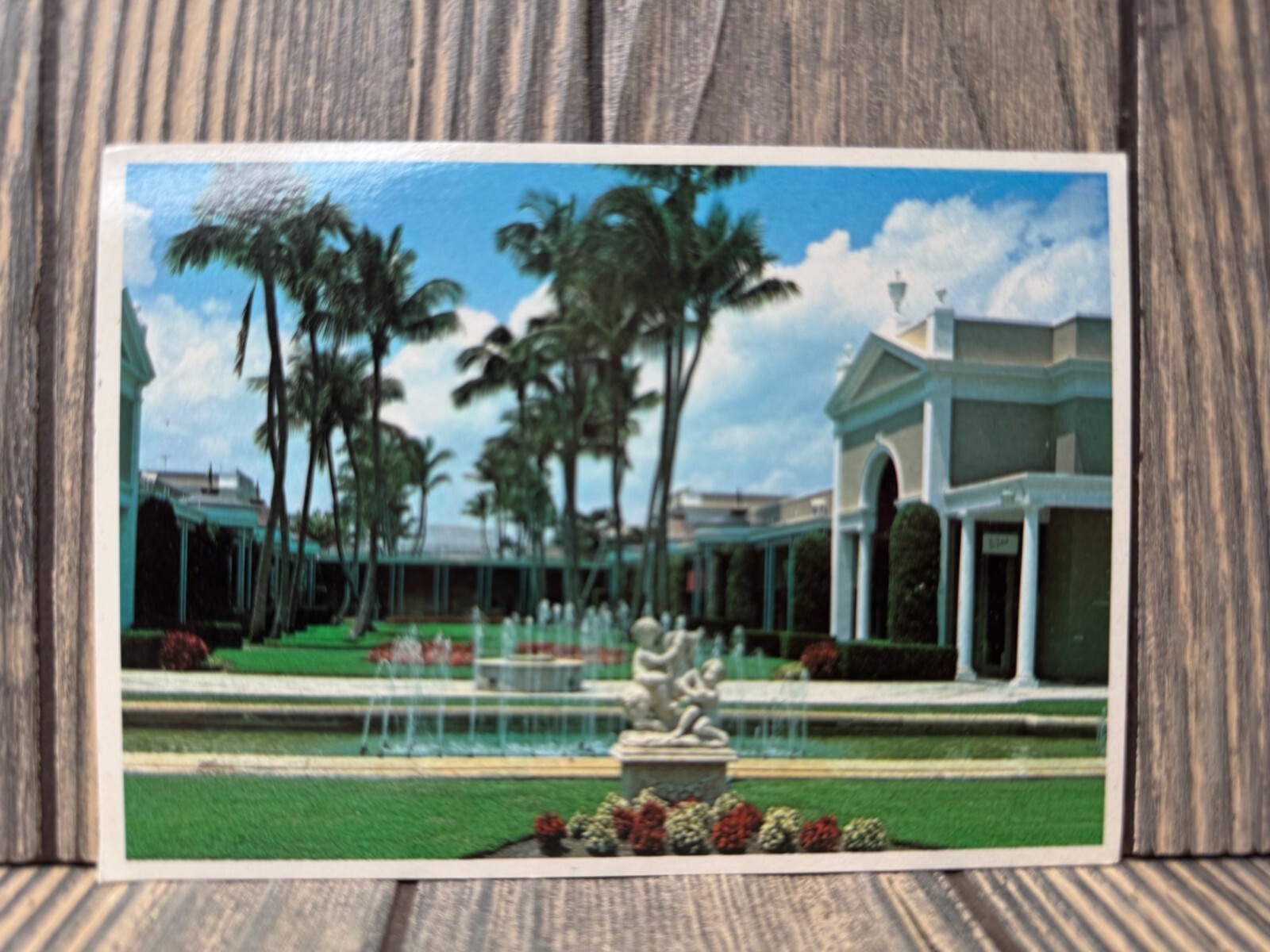 Vintage Royal Poinciana Plaza Postcard Palm Beach Florida Photo By Bob Glander Vintage Royal Poinciana Plaza Postcard Palm Beach Florida Photo By Bob Glander