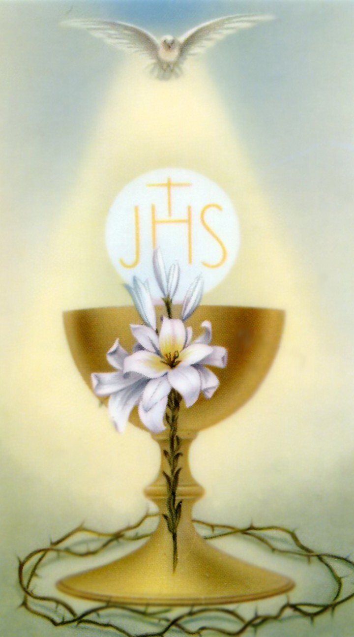 Prayer of Eucharistic Ministers A - Laminated Holy 25 CARDS Prayer of Eucharistic Ministers A - Laminated Holy 25 CARDS