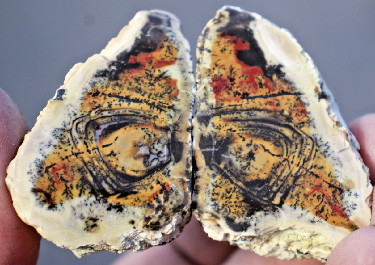 Pair of Polished Utah Tiffany Stone • 104 grams/3.6 oz. Pair of Polished Utah Tiffany Stone • 104 grams/3.6 oz.