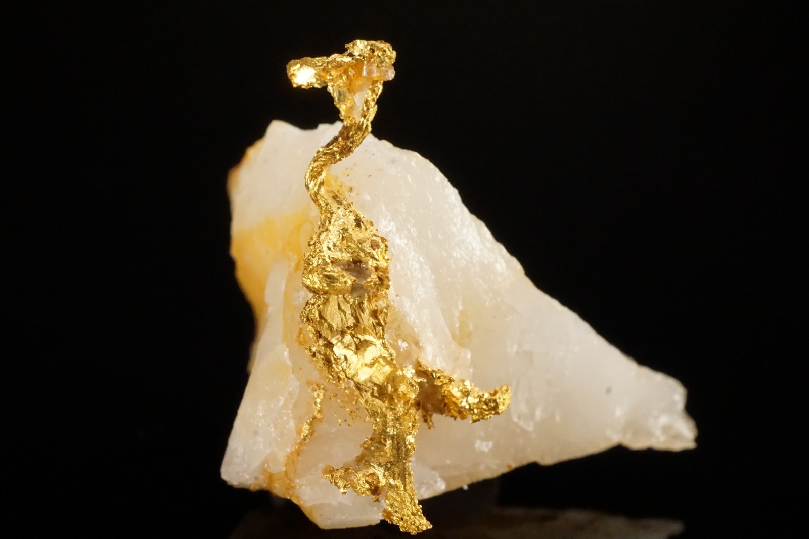 Rare Locale Native Gold Crystal on Quartz Cashman's Mine Australia Rare Locale Native Gold Crystal on Quartz Cashman's Mine Australia