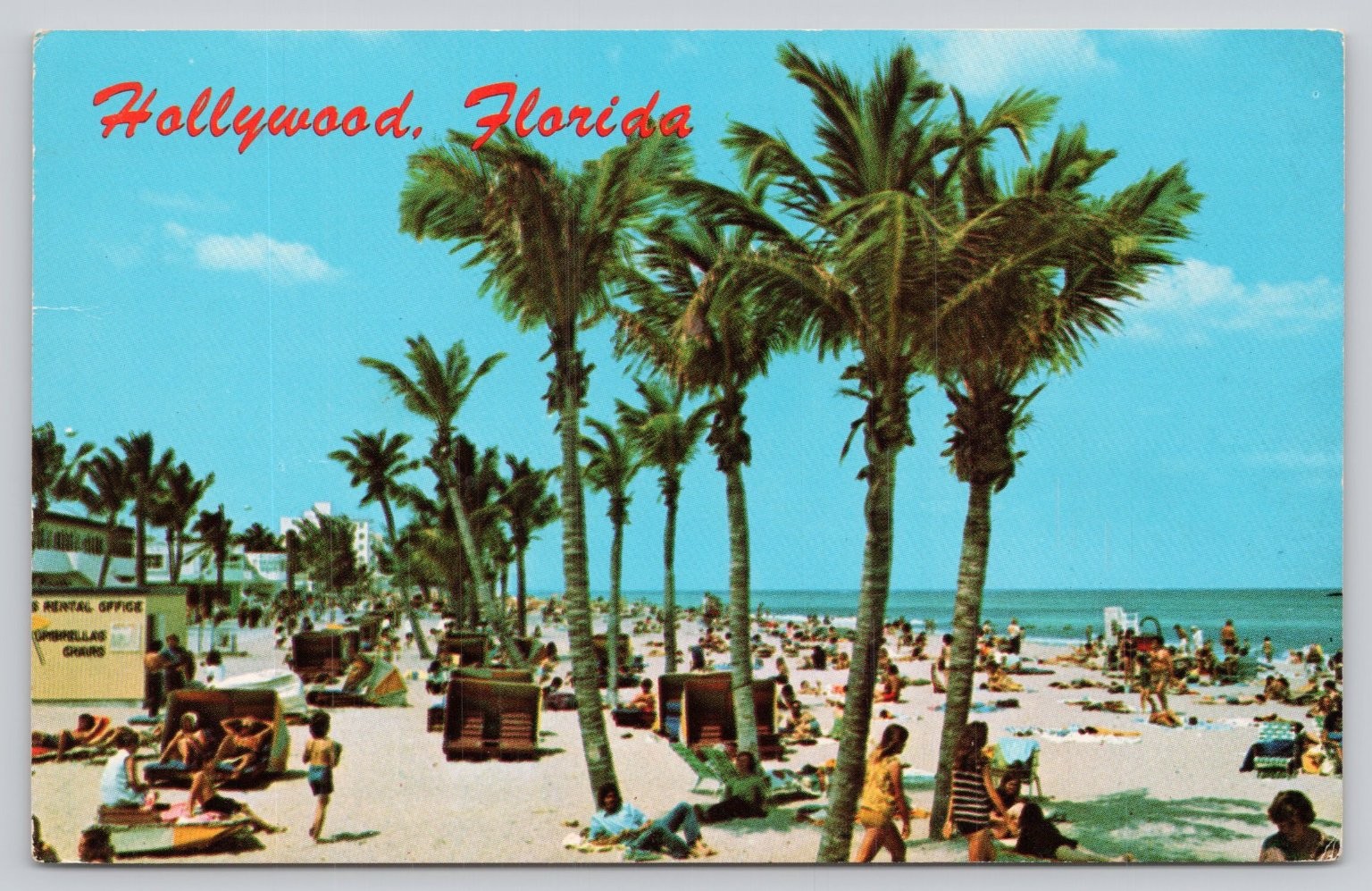 Vtg 1972 Hollywood Florida Beach Palm Trees Chrome Postcard Posted