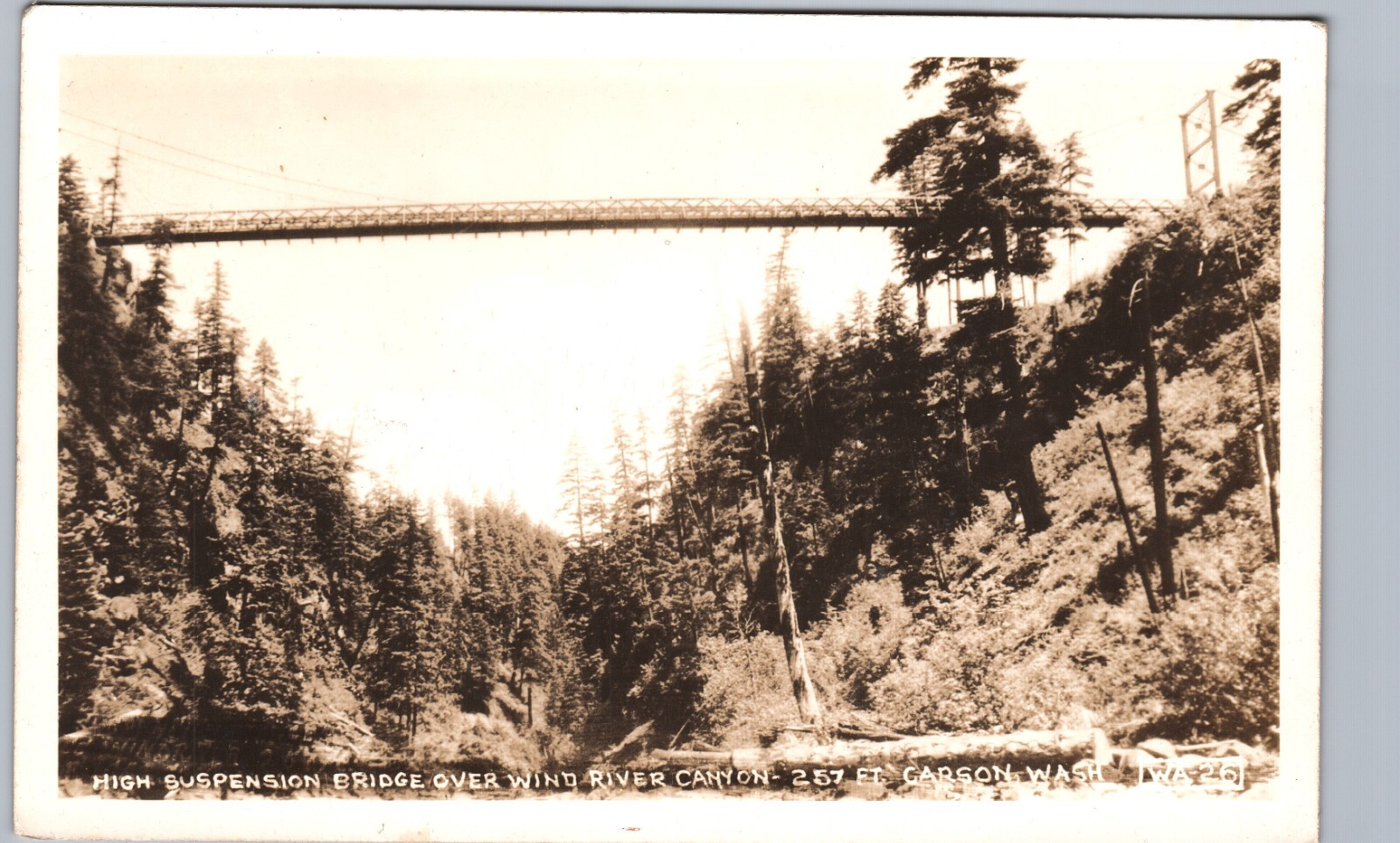 WIND RIVER CANYON BRIDGE carson wa real photo postcard rppc washington