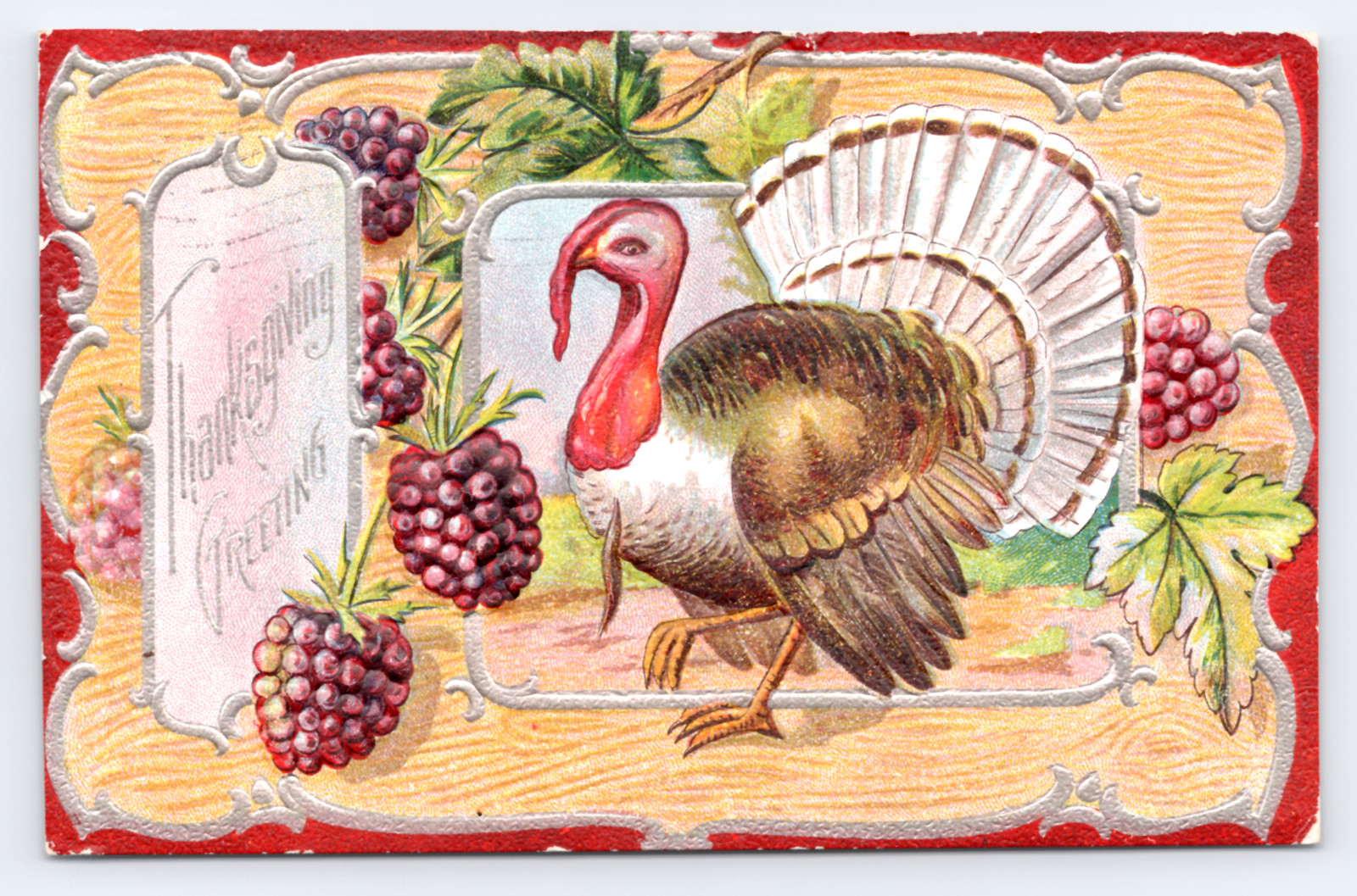 c1910 Thanksgiving Greetings Postcard, Turkey Blackberries Silver Wood Embossed c1910 Thanksgiving Greetings Postcard, Turkey Blackberries Silver Wood Embossed