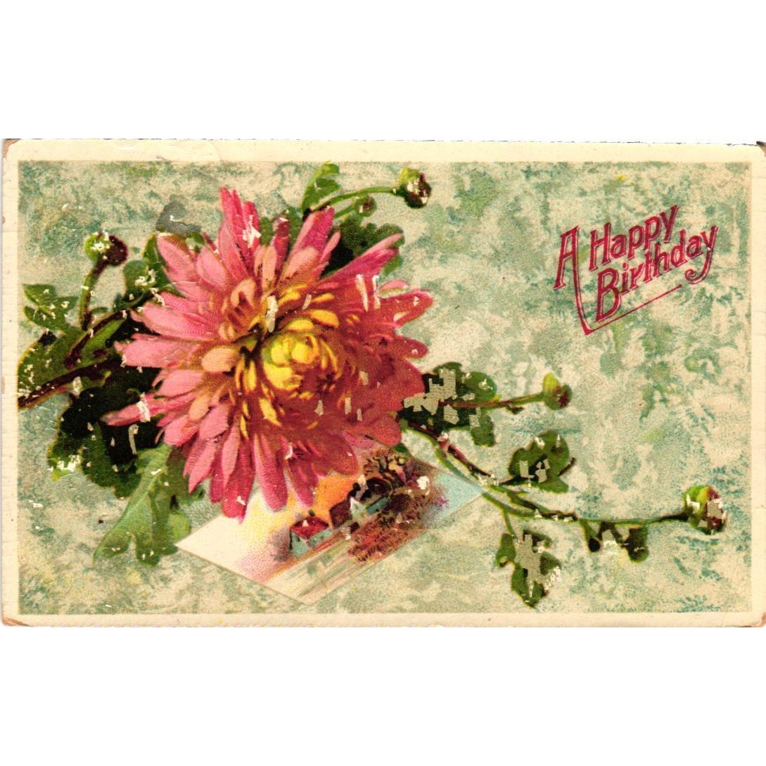 Vintage 1912 Birthday Postcard Pink Chrysanthemum Flower Sherman NY Postmark Vintage 1912 Birthday Postcard Pink Chrysanthemum Flower Sherman NY Postmark