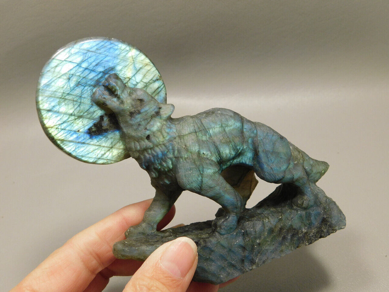 Howling Wolf Moon Figurine Labradorite 4.2 inch Coyote Carving #O305
